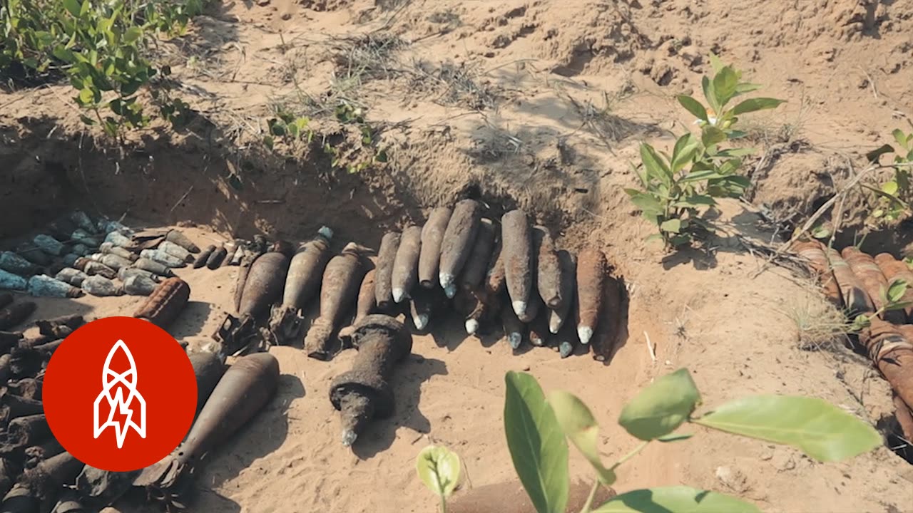 The Bomb-Sniffing Rats of Mozambique